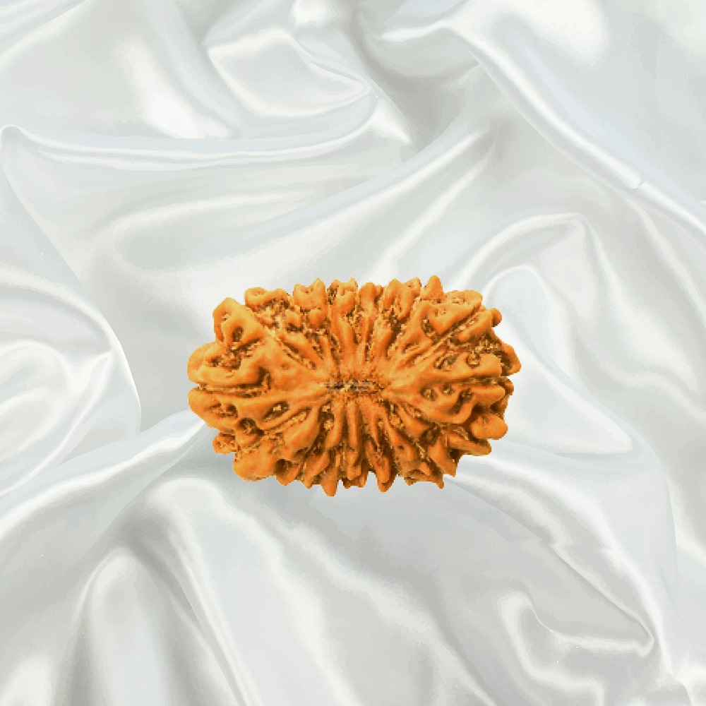 16 Mukhi Indonesian Rudraksha Small