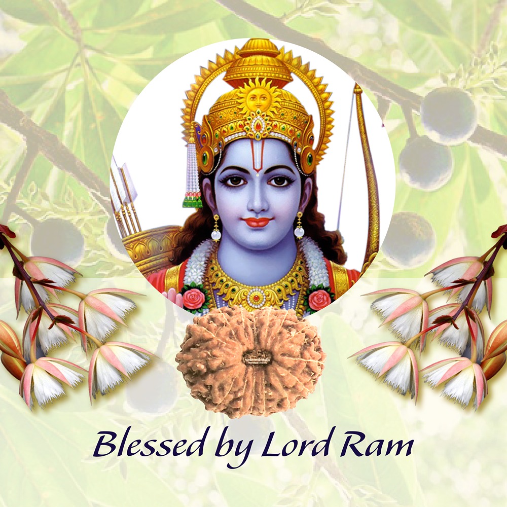 16 Mukhi Indonesian Rudraksha Small