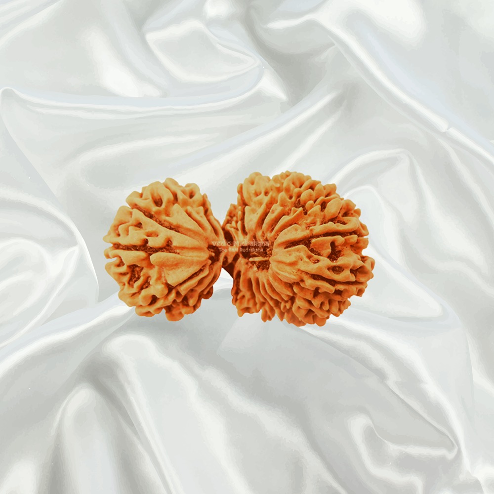 21 Mukhi Gaurishankar Collector Nepal