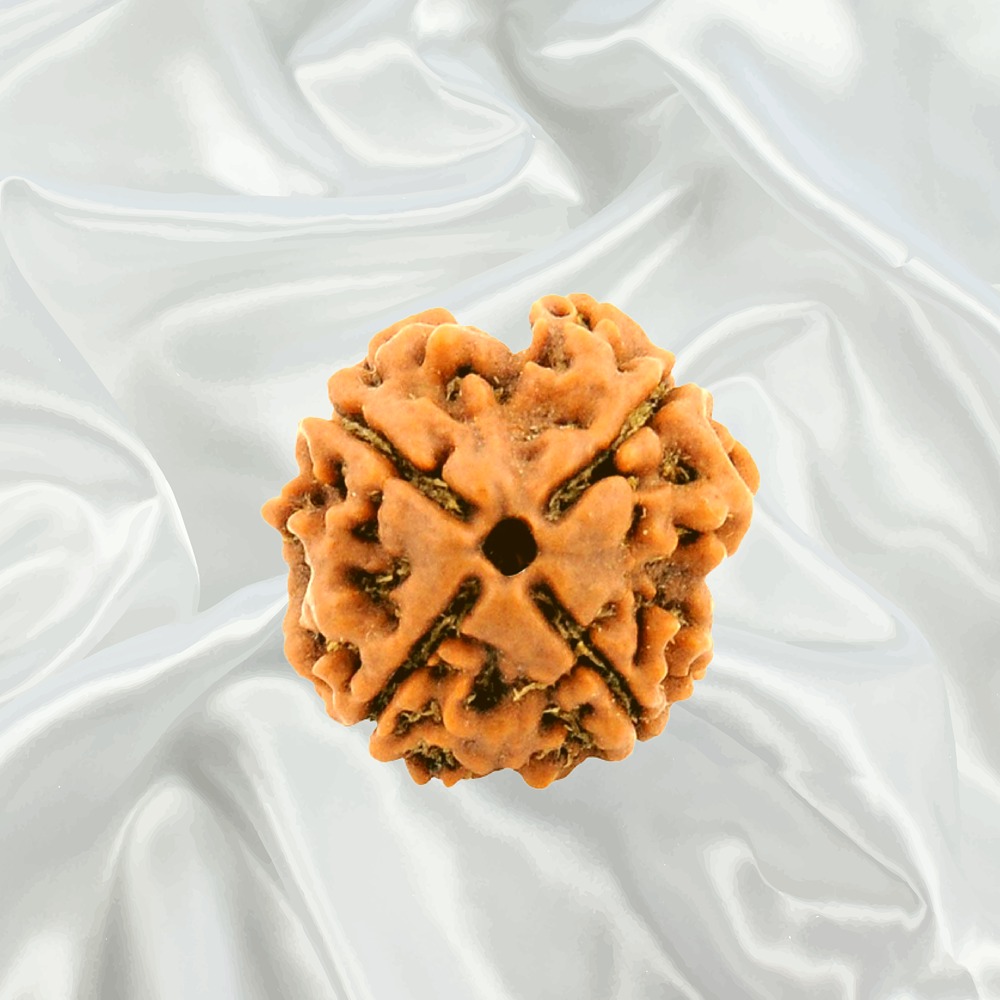 4 Mukhi Nepal Rudraksha Big