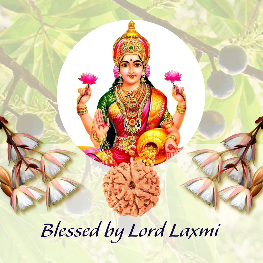 7 Mukhi Nepal Rudraksha Small