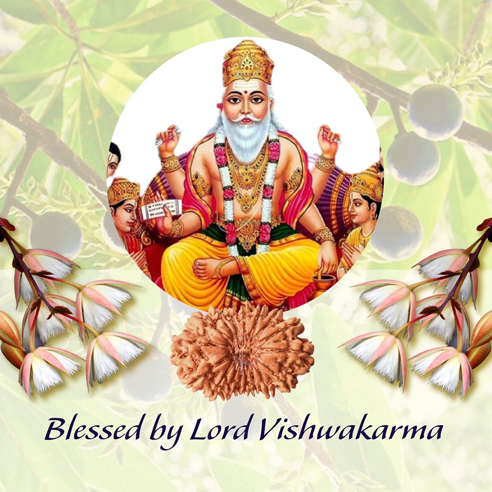 17 Mukhi Nepal Rudraksha Small