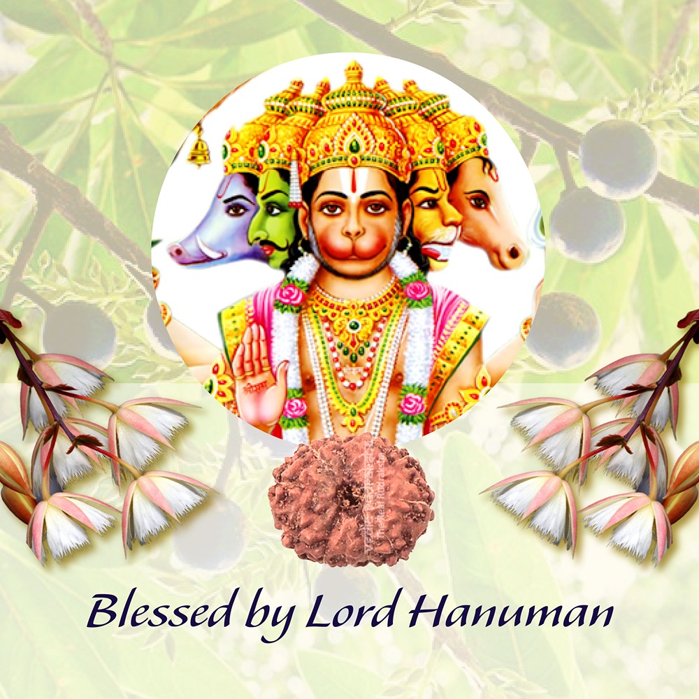 11 Mukhi Indonesian Rudraksha Small