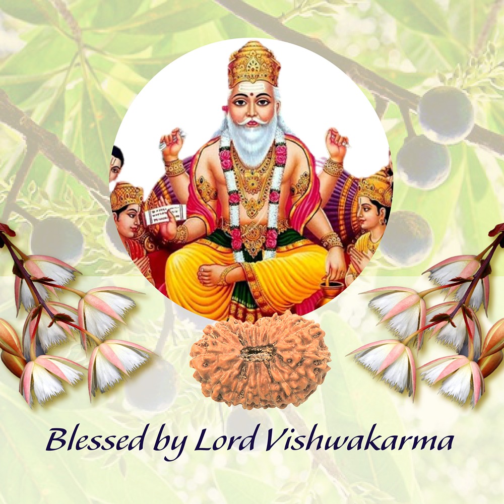 17 Mukhi Indonesian Rudraksha Small