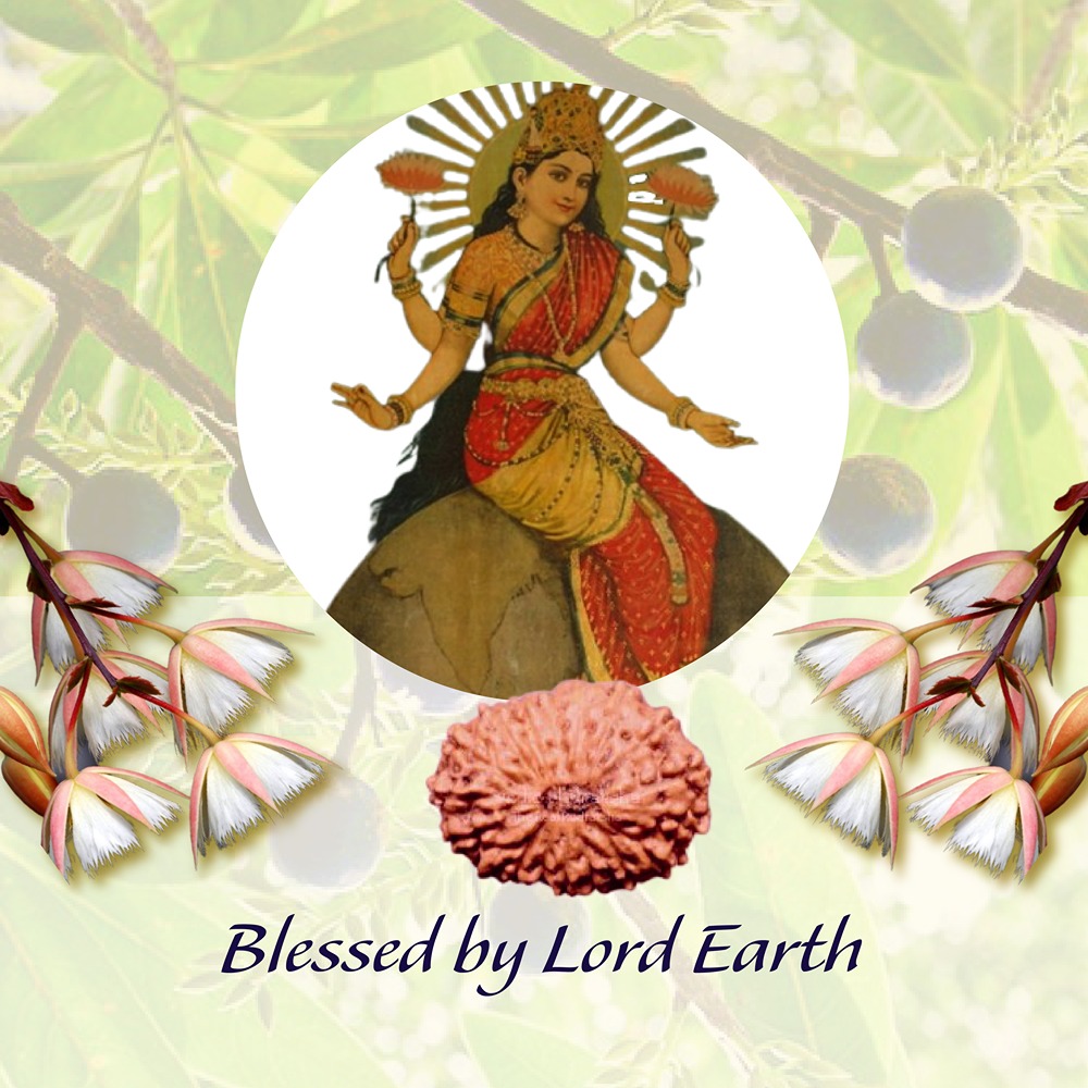 18 Mukhi Indonesian Rudraksha Small