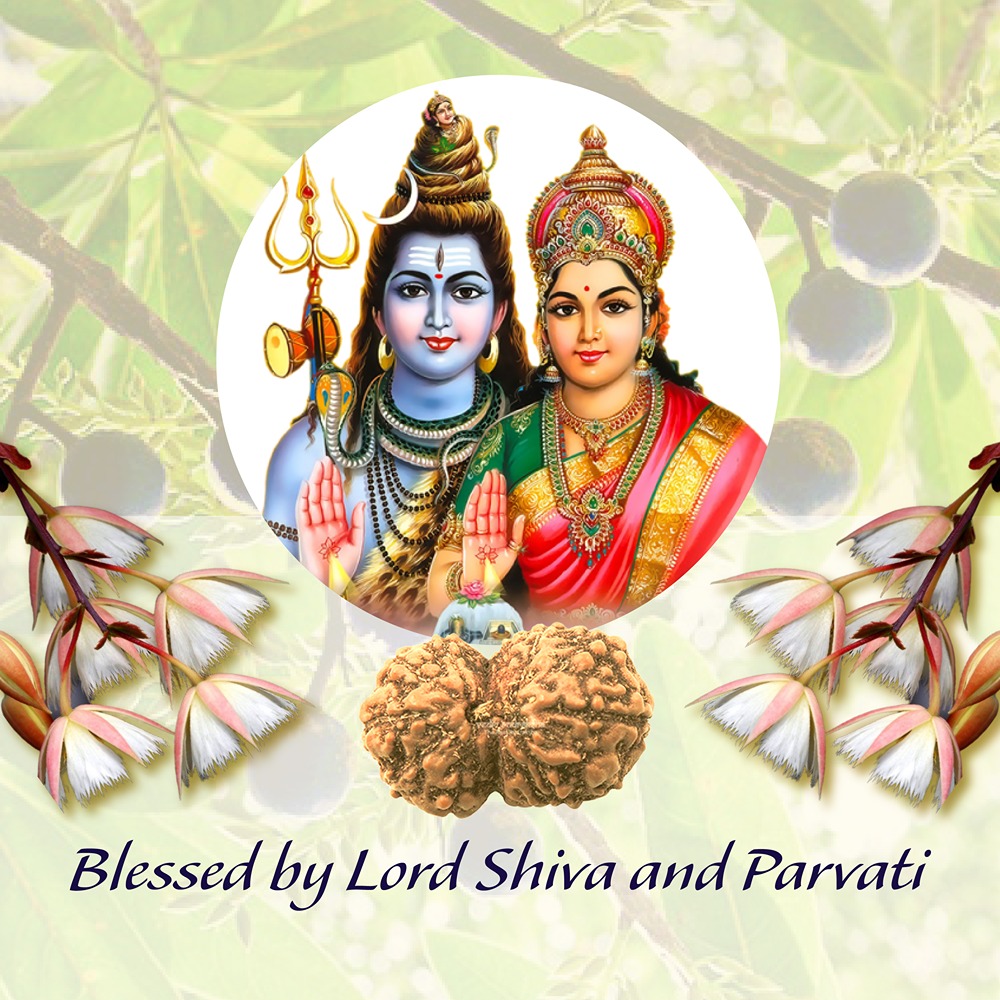  Gaurishankar Indonesian Medium