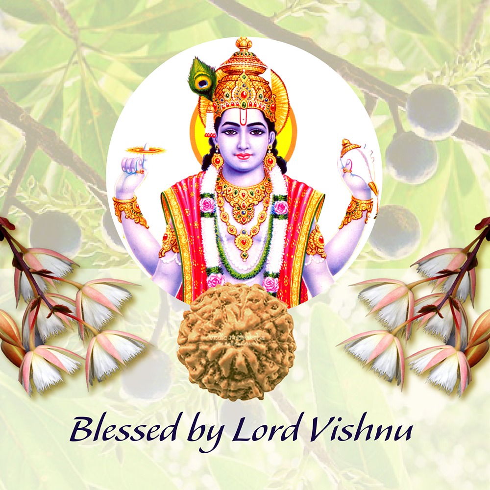 10 Mukhi Indonesian Rudraksha Small