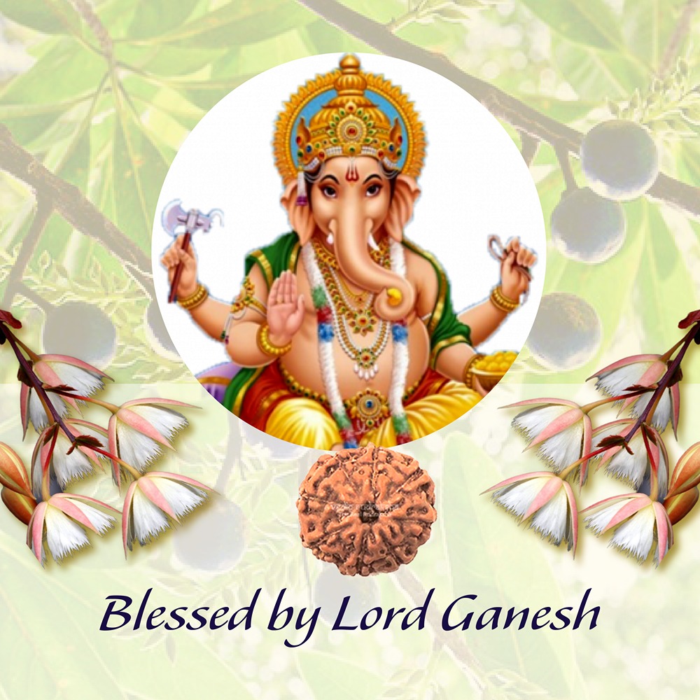 8 Mukhi Indonesian Rudraksha Small