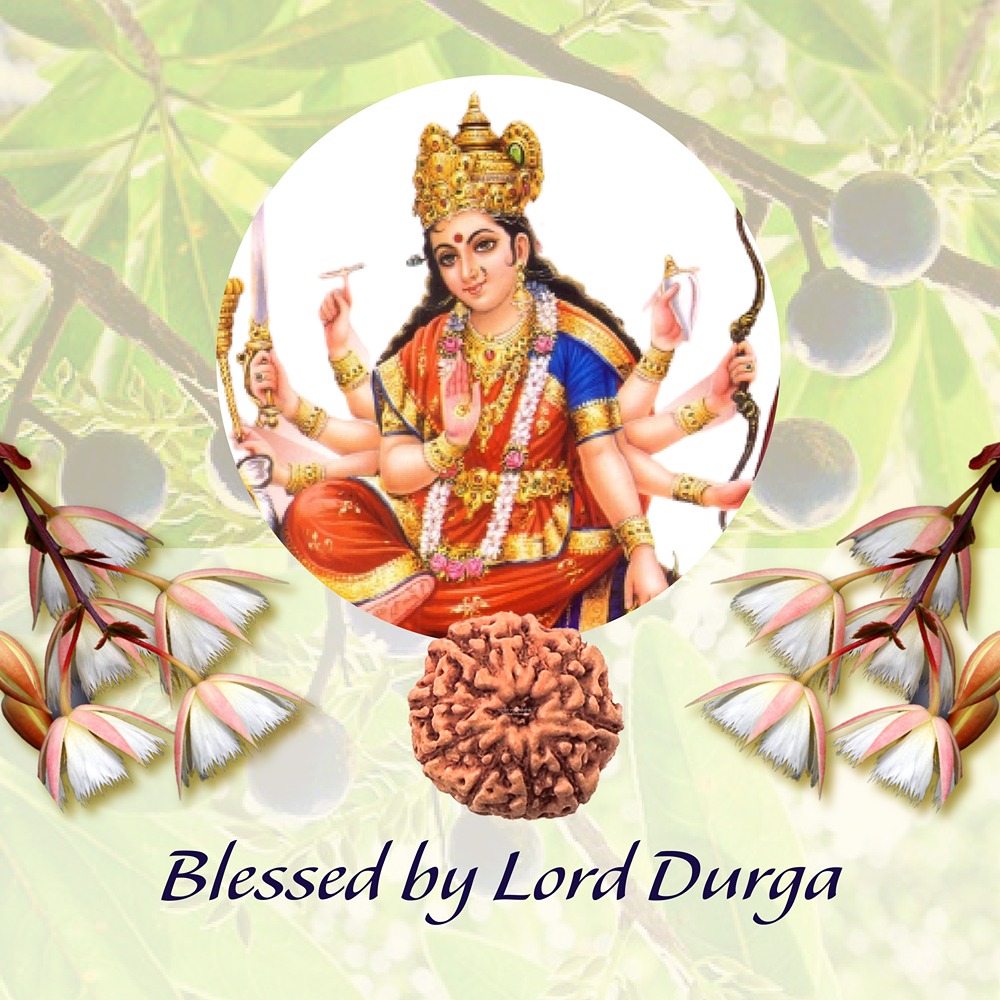 9 Mukhi Indonesian Rudraksha Small