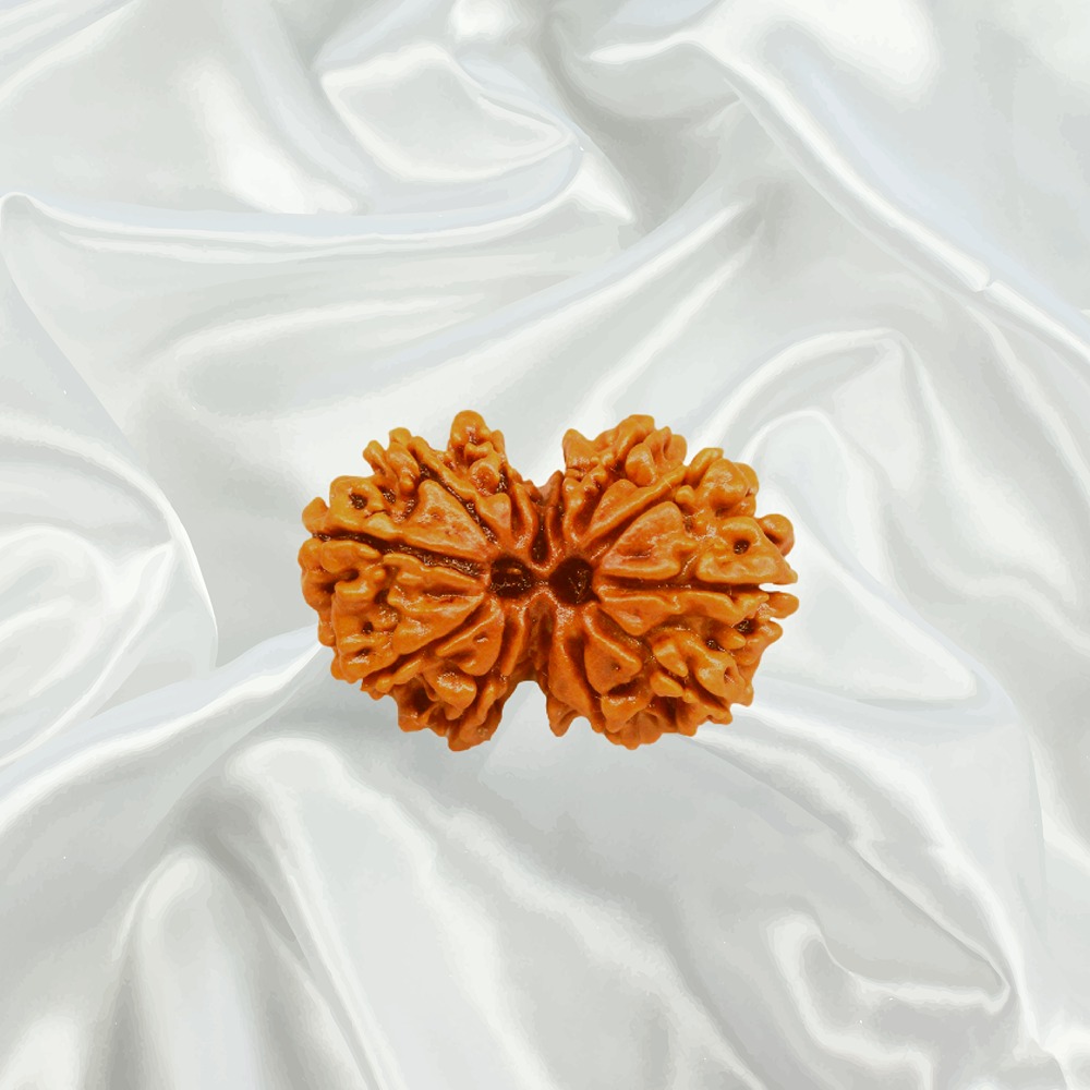 Gaurishankar Rudraksha Big Nepal