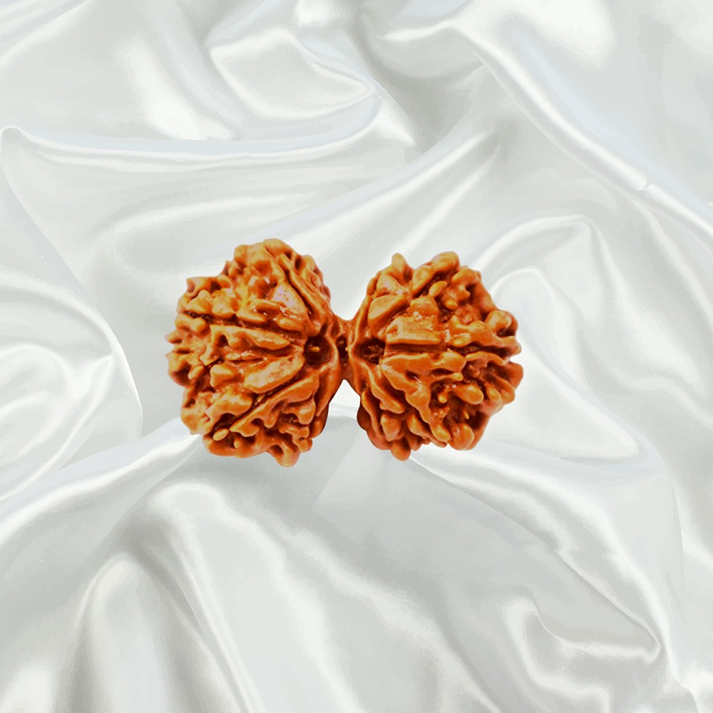 Gaurishankar Rudraksha Collector Nepal