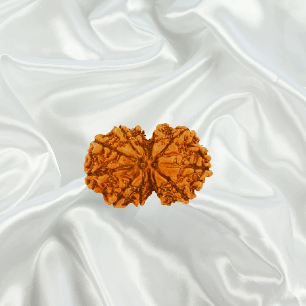 Gaurishankar Rudraksha Small Nepal 